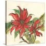 Poinsettia II-Chris Paschke-Stretched Canvas