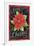 Poinsettia Merry Christmas Flag-Melinda Hipsher-Framed Giclee Print