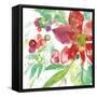 Poinsettia Pretty IV-Kristy Rice-Framed Stretched Canvas
