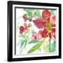 Poinsettia Pretty IV-Kristy Rice-Framed Art Print