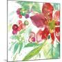 Poinsettia Pretty IV-Kristy Rice-Mounted Art Print