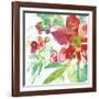 Poinsettia Pretty IV-Kristy Rice-Framed Art Print