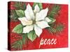Poinsettia Snow Peace-Melinda Hipsher-Stretched Canvas