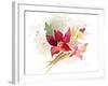 Poinsettia Spray-Lanie Loreth-Framed Art Print