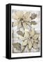 Poinsettia Study II-Tim O'toole-Framed Stretched Canvas