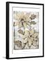 Poinsettia Study II-Tim O'toole-Framed Art Print