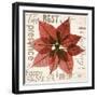 Poinsettia-Albert Koetsier-Framed Photographic Print