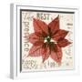 Poinsettia-Albert Koetsier-Framed Photographic Print