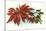 Poinsettia-null-Stretched Canvas