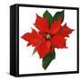 Poinsettia-Hiroyuki Izutsu-Framed Stretched Canvas