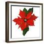 Poinsettia-Hiroyuki Izutsu-Framed Giclee Print