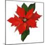 Poinsettia-Hiroyuki Izutsu-Mounted Giclee Print