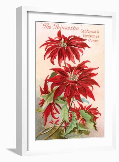 Poinsettias, California Christmas Flower-null-Framed Art Print