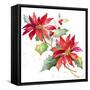 Poinsettias I-Lanie Loreth-Framed Stretched Canvas