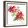 Poinsettias I-Lanie Loreth-Framed Art Print