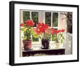 Poinsettias-Richard Akerman-Framed Art Print