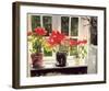 Poinsettias-Richard Akerman-Framed Art Print