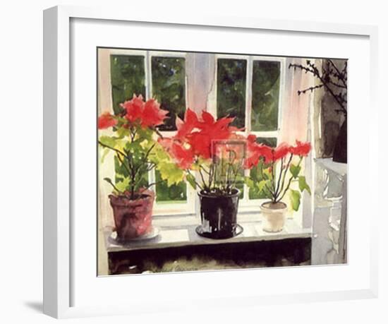 Poinsettias-Richard Akerman-Framed Art Print