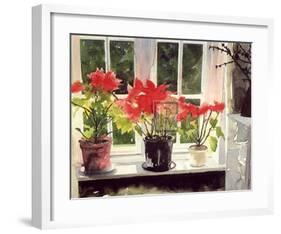 Poinsettias-Richard Akerman-Framed Art Print