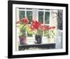 Poinsettias-Richard Akerman-Framed Giclee Print