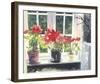 Poinsettias-Richard Akerman-Framed Giclee Print