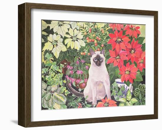 Poinsettias-Hilary Jones-Framed Giclee Print