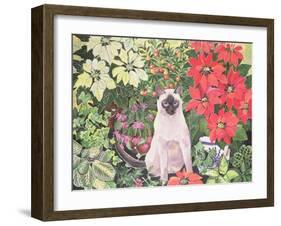 Poinsettias-Hilary Jones-Framed Giclee Print