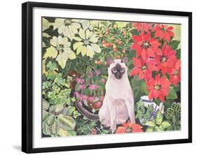 Poinsettias-Hilary Jones-Framed Giclee Print