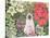 Poinsettias-Hilary Jones-Stretched Canvas