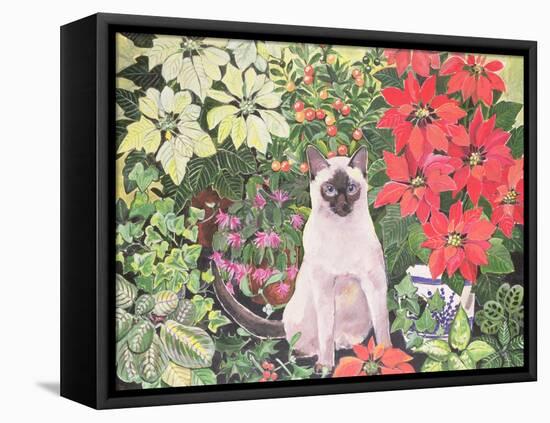 Poinsettias-Hilary Jones-Framed Stretched Canvas