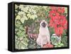 Poinsettias-Hilary Jones-Framed Stretched Canvas