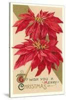 Poinsettias-null-Stretched Canvas