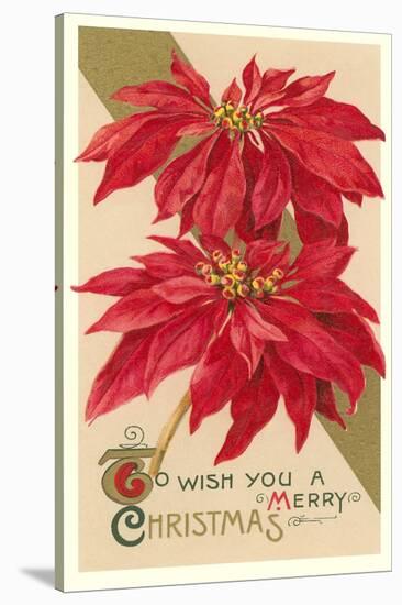 Poinsettias-null-Stretched Canvas