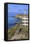 Point Arena Lighthouse, California, United States of America, North America-Richard Cummins-Framed Stretched Canvas