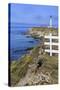 Point Arena Lighthouse, California, United States of America, North America-Richard Cummins-Stretched Canvas