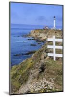 Point Arena Lighthouse, California, United States of America, North America-Richard Cummins-Mounted Photographic Print