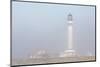 Point Arena Lighthouse in Fog-Richard Cummins-Mounted Photographic Print