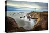 Point Arena Lighthouse In Mendocino County-Joe Azure-Stretched Canvas