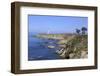 Point Arena Lighthouse, Mendocino County, California, United States of America, North America-Richard Cummins-Framed Photographic Print