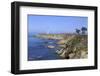 Point Arena Lighthouse, Mendocino County, California, United States of America, North America-Richard Cummins-Framed Photographic Print