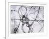 Point Blank-Joshua Schicker-Framed Giclee Print