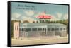 Point Diner, Somers Point, New Jersey-null-Framed Stretched Canvas