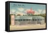 Point Diner, Somers Point, New Jersey-null-Framed Stretched Canvas