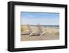 Point East-Daniel Pollera-Framed Art Print