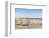 Point East-Daniel Pollera-Framed Art Print