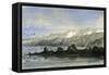 Point Islay 1869 Peru-null-Framed Stretched Canvas