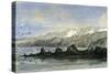 Point Islay 1869 Peru-null-Stretched Canvas