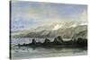 Point Islay 1869 Peru-null-Stretched Canvas