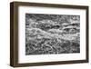 Point Lobos, Carmel, California.-John Ford-Framed Photographic Print