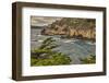 Point Lobos, Carmel, California.-John Ford-Framed Photographic Print